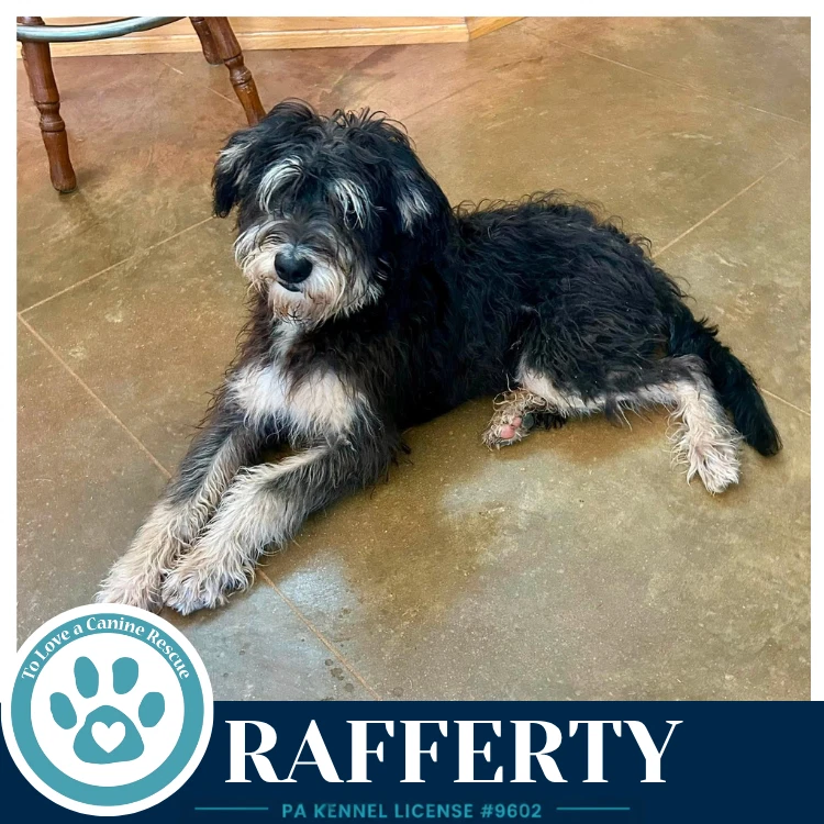 Rafferty