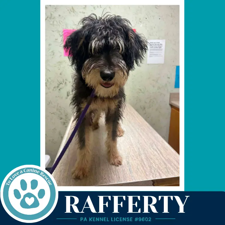 Rafferty image 2