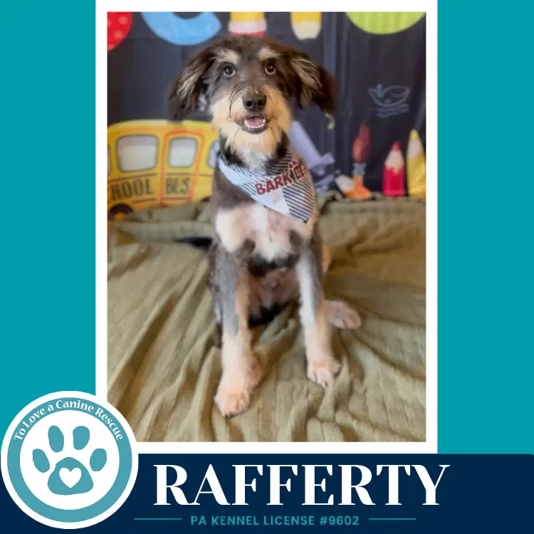 Rafferty - Shepherd