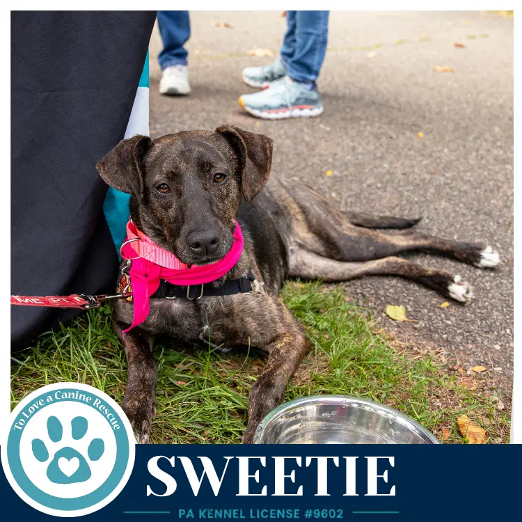Sweetie Mom To Sweeties Sweets image 2