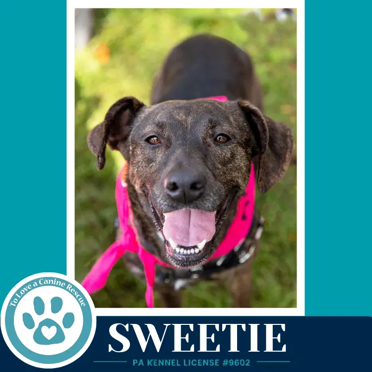 Sweetie Mom To Sweeties Sweets image 3
