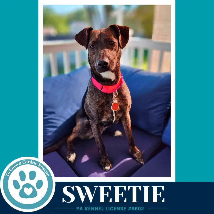 Sweetie Mom To Sweeties Sweets image 4