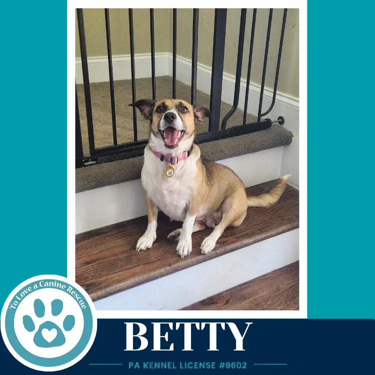 Betty Mom To Betty's Babble Bunch image 2