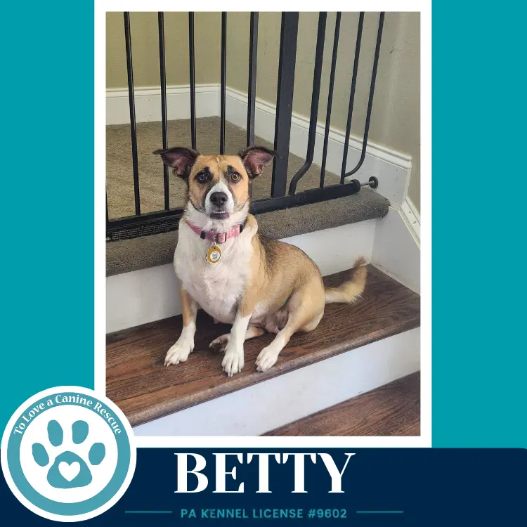 Betty Mom To Betty's Babble Bunch image 3