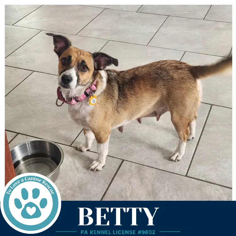 Betty Mom To Betty's Babble Bunch image 4