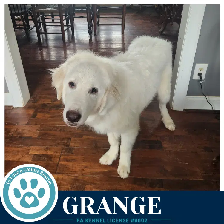 Grange image 2
