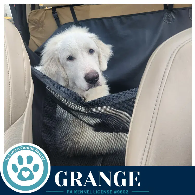 Grange image 3