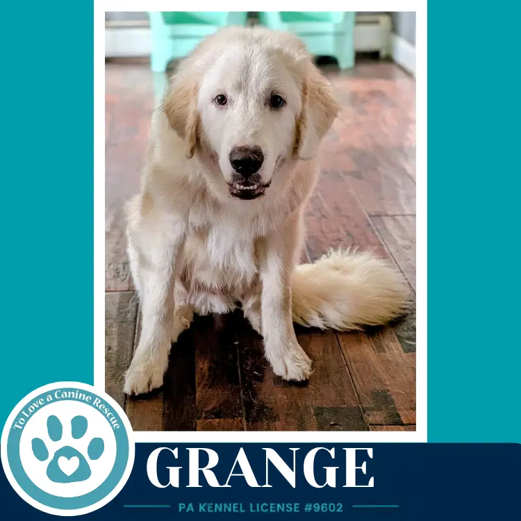 Grange image 4