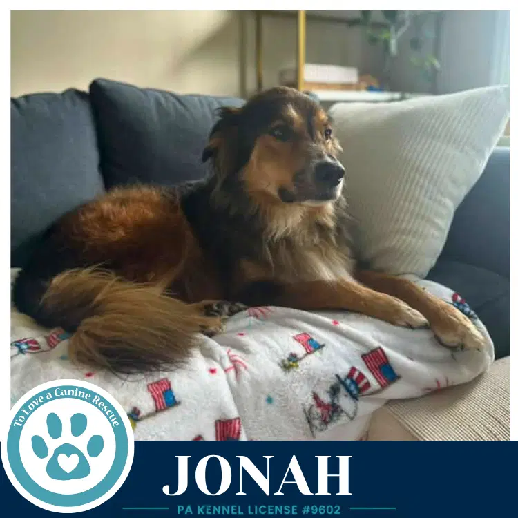 Jonah image 2
