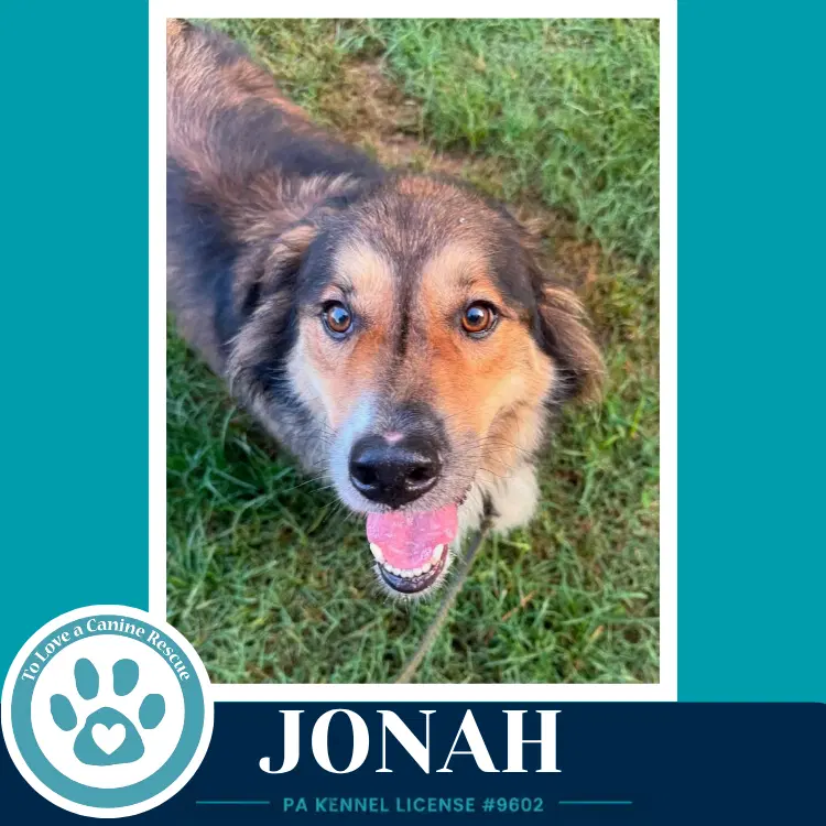 Jonah image 3