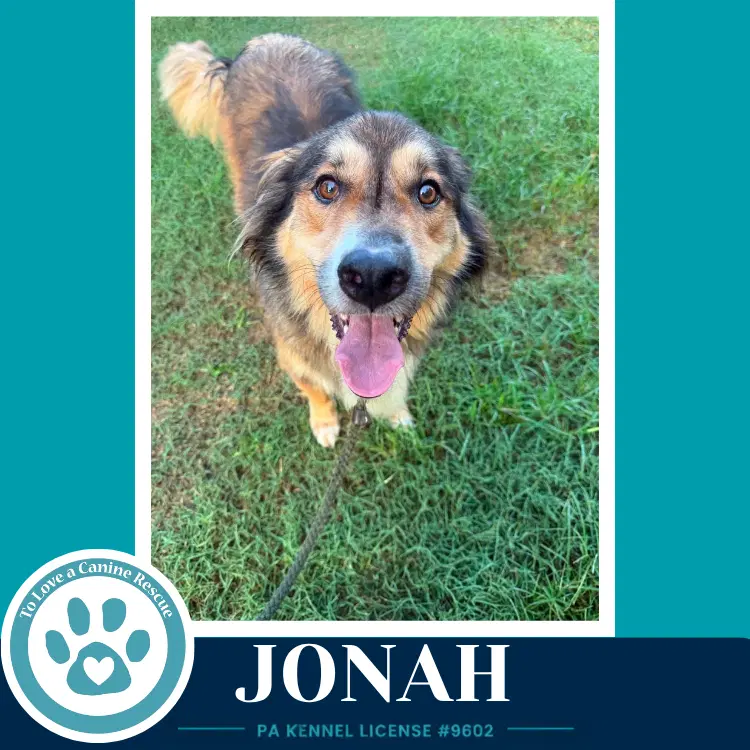 Jonah image 4