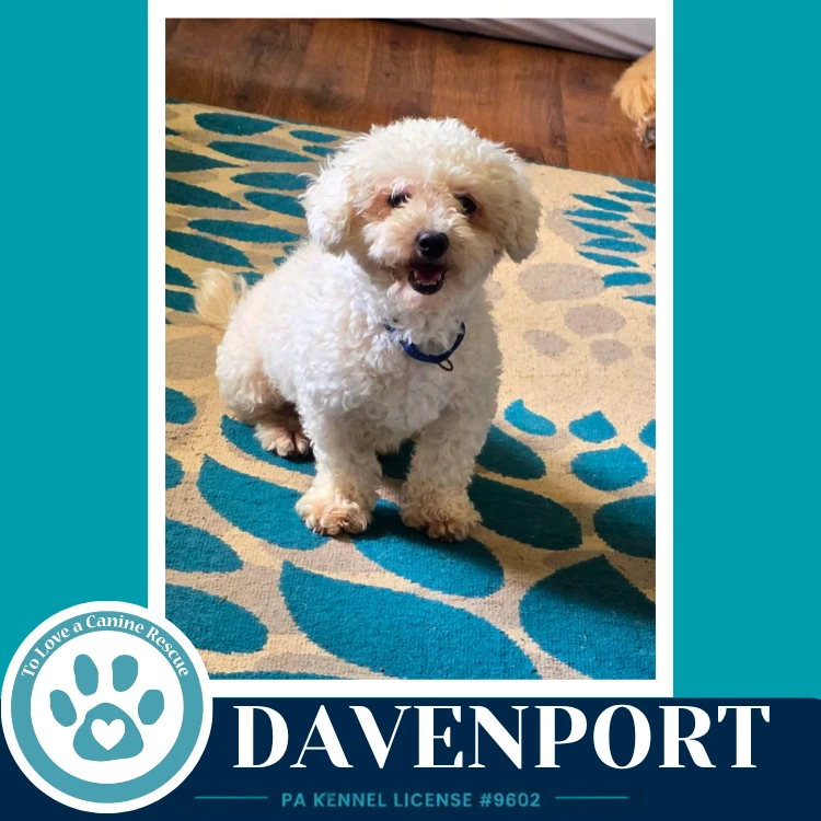 Davenport