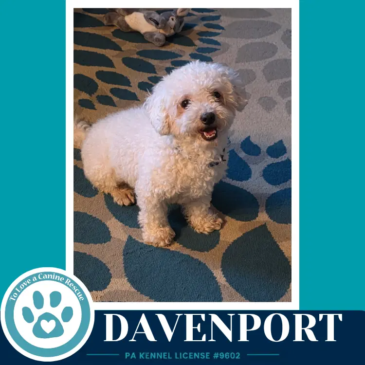 Davenport image 4