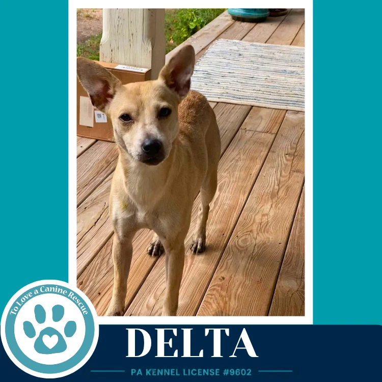 Delta