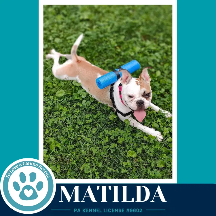 Matilda image 2
