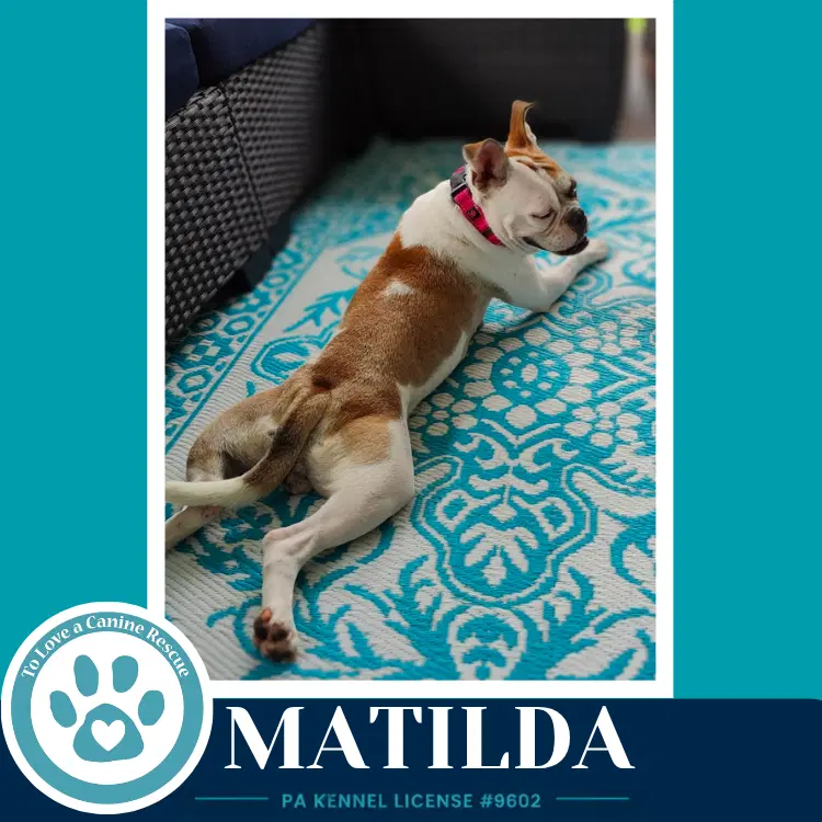 Matilda image 3