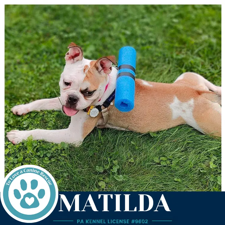 Matilda image 4