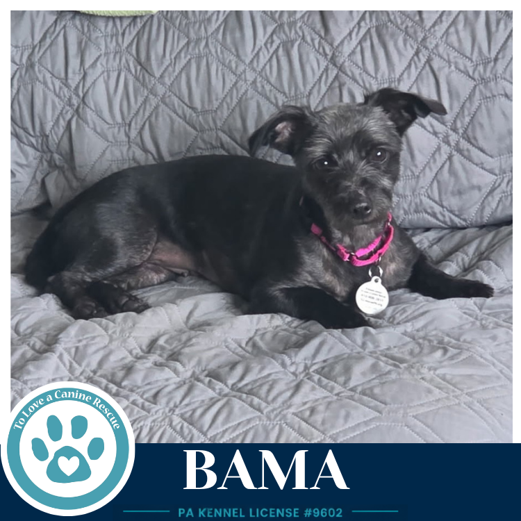 Bama 100326