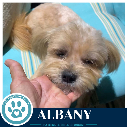 Photo 2 of Albany 100326