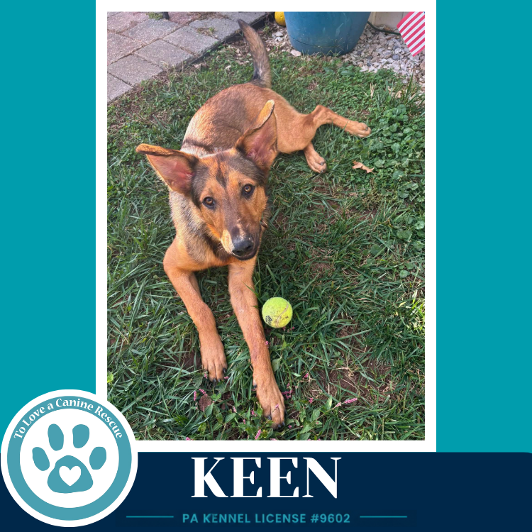 Keen 100326