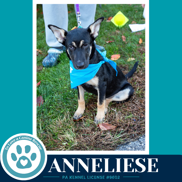 Anneliese (Prost Pups) 100326