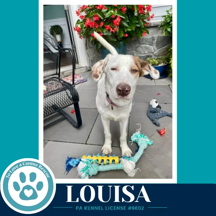 Louisa image 3