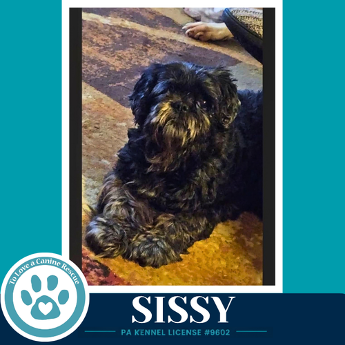 Photo 3 of Sissy 100326