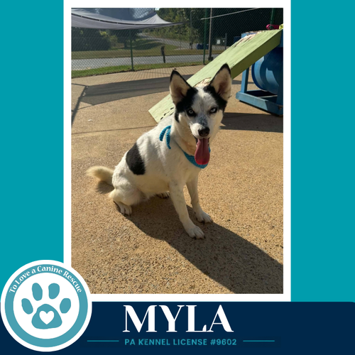 Photo 2 of Myla 100326