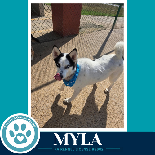 Photo 3 of Myla 100326