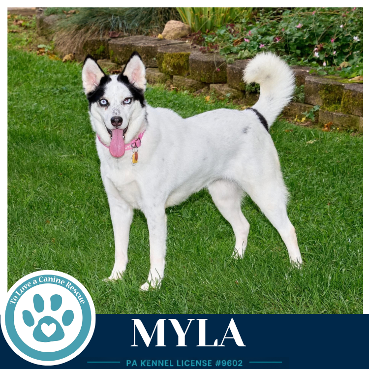 Myla 100326