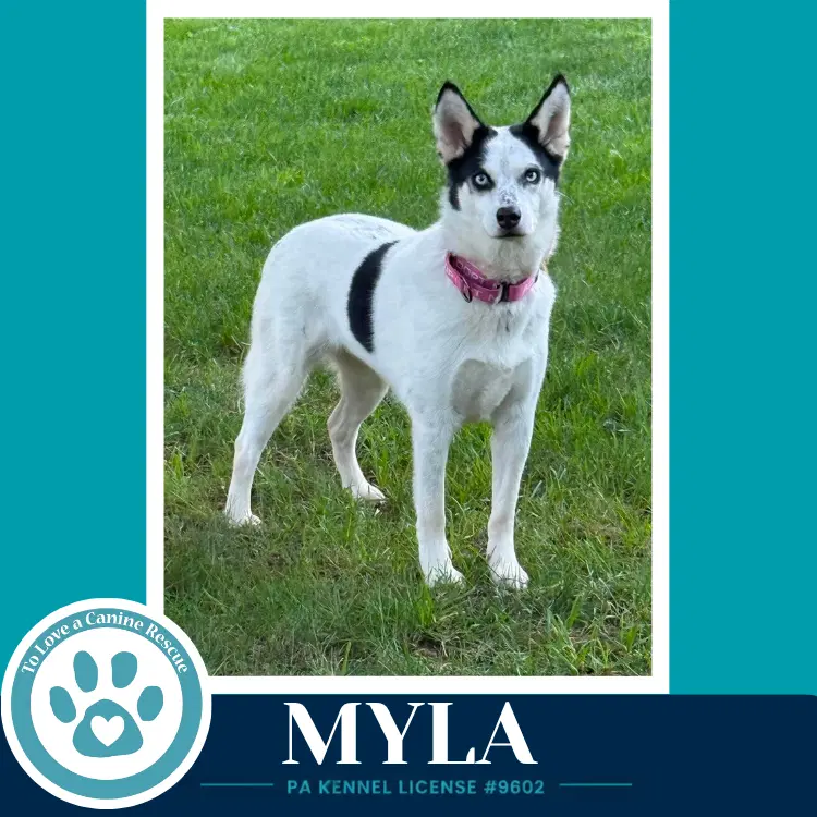 Myla image 2