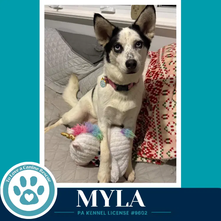 Myla image 3