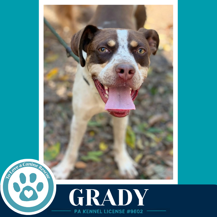 Grady 101726, photo 4