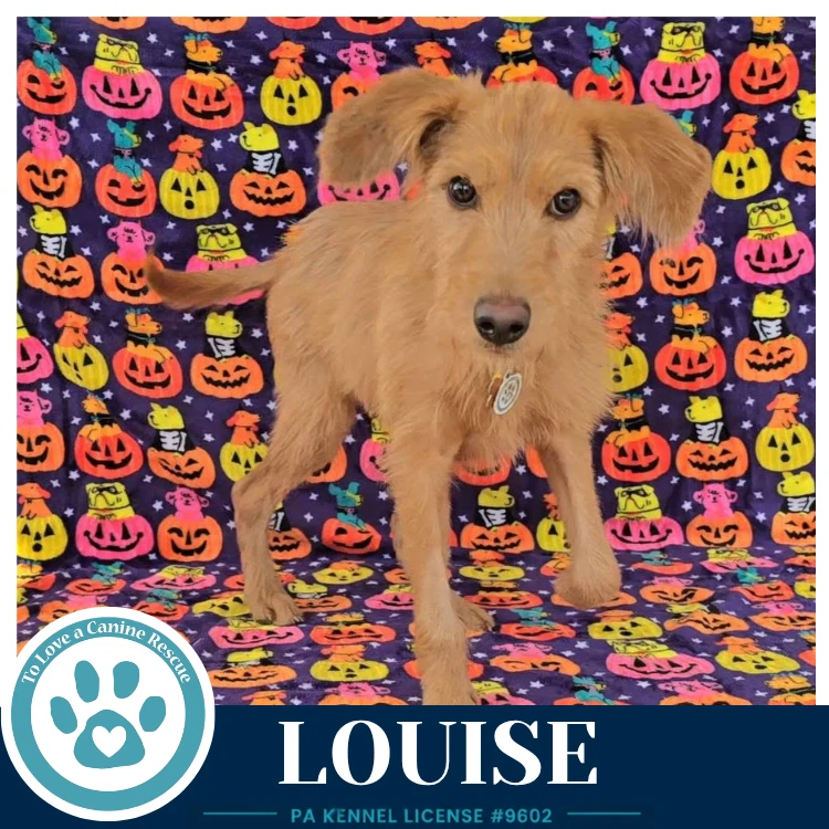Louise