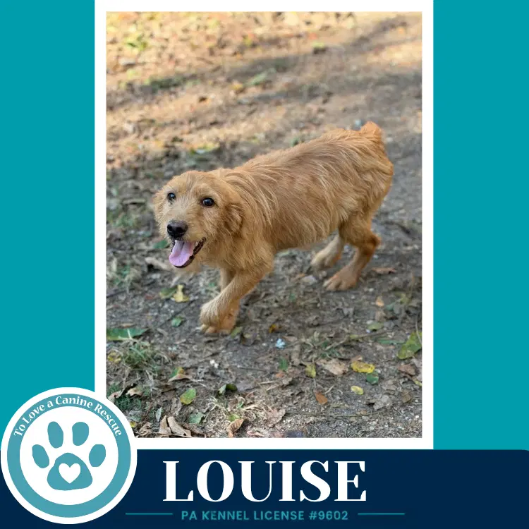 Louise image 3
