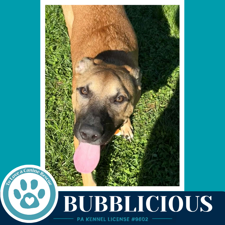 Bubblicious (Bubble Gum Gang) 102426, photo 3