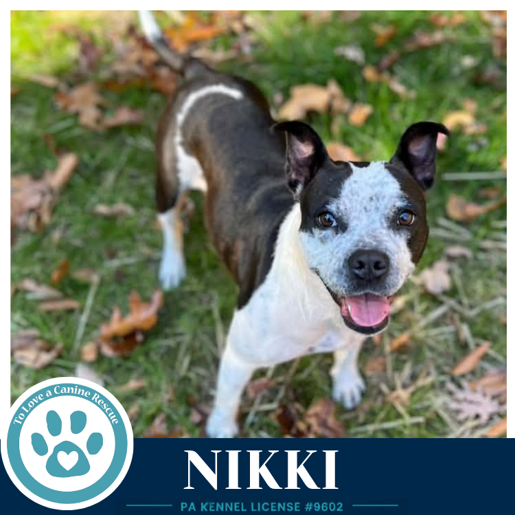 Nikki 102426