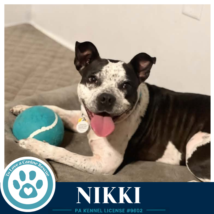 Nikki 102426, photo 4