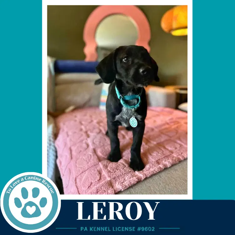 Leroy  L Crew image 2
