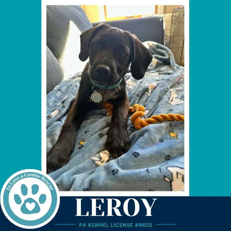Leroy  L Crew image 3