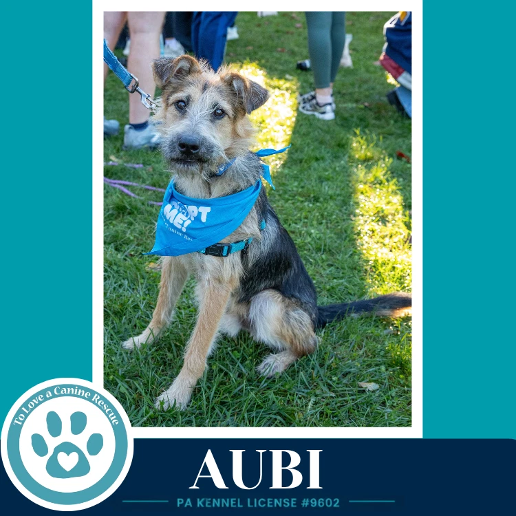 Aubi