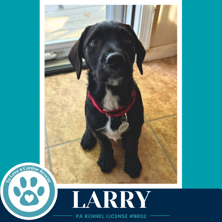 Larry ( L Crew) 102426