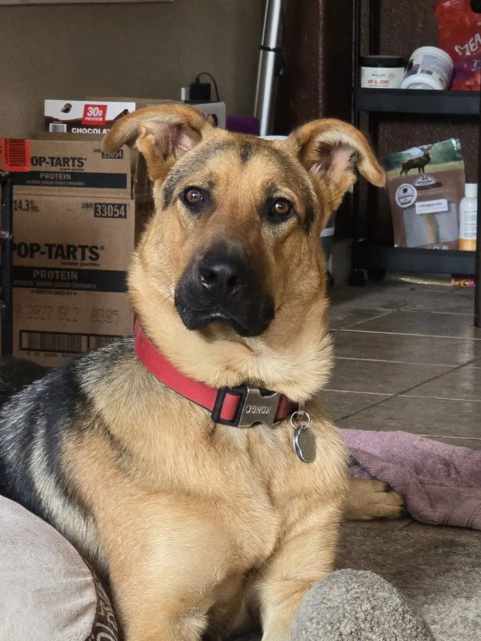 Ralph image 2