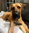 Honey - Photo 7