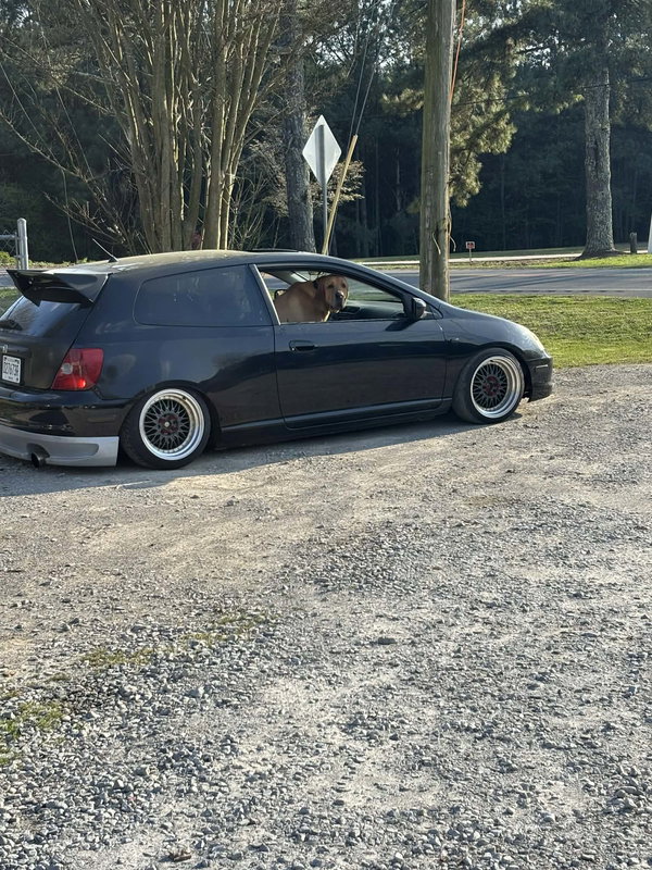 Timber
