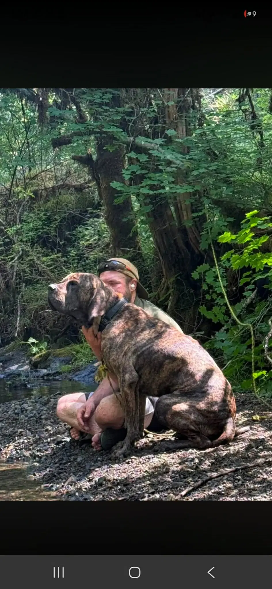 Chief image 3
