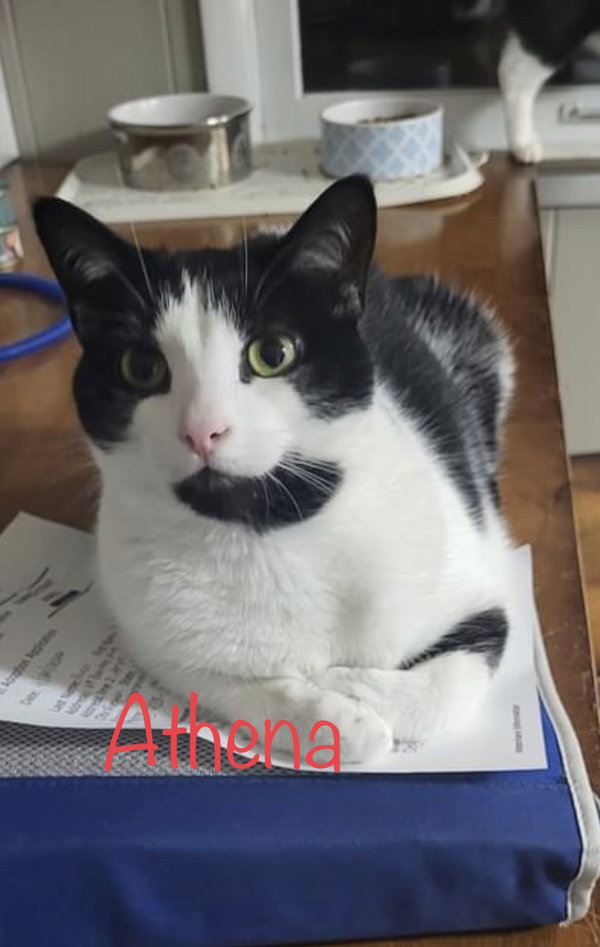 Athena