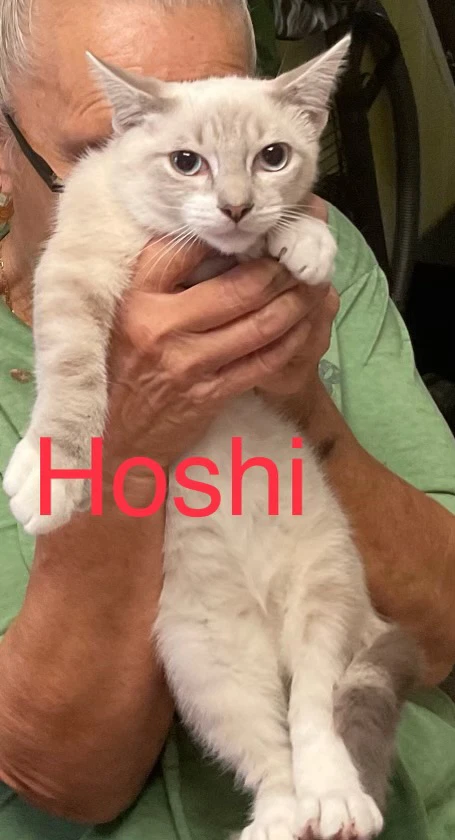 Hoshi
