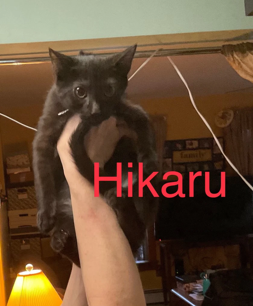 Hikaru