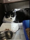 OREO - Photo 1